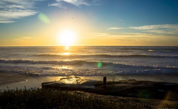 La Jolla (7)